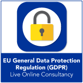 Live Online GDPR Consultancy