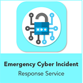 Cyber incident response management (CIRM) service