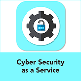 Cyber Security as a Service